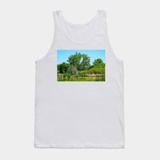 Pond on Cherry Creek Study 1 Tank Top